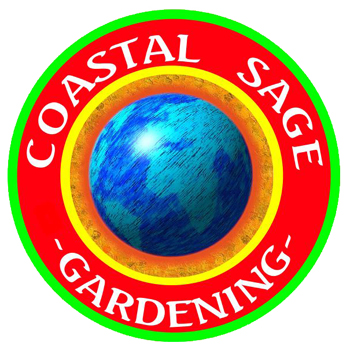 Coastal Sage Gardening Ocean Beach