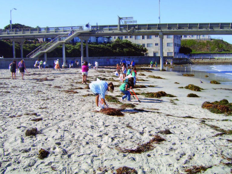 Surfrider Creek to Bay Cleanup