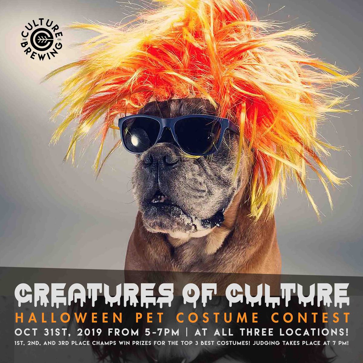 Ocean Beach News Article: CREATURES OF CULTURE - HALLOWEEN PET COSTUME CONTEST, OCTOBER 31ST!