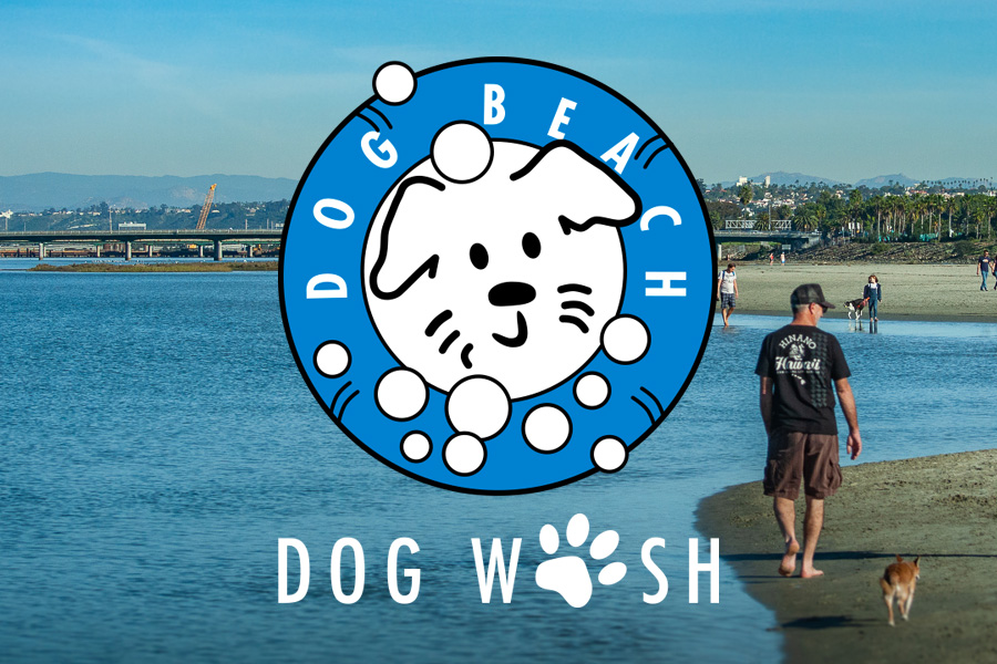 Ocean Beach News Article: Help Keep Dog Beach Clean