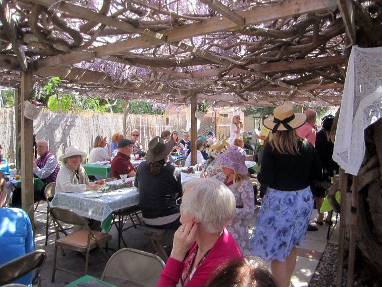 Wisteria Party: OB Historical Society