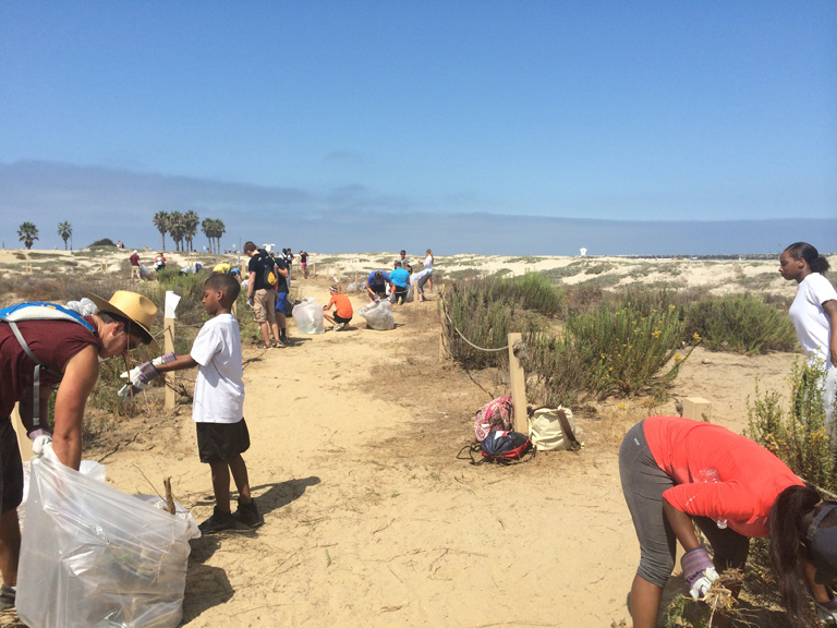 Coastal Habitat Restoration with San Diego River Park Foundation