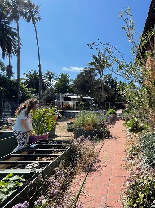 Coastal Sage Gardening Valentines Day Event