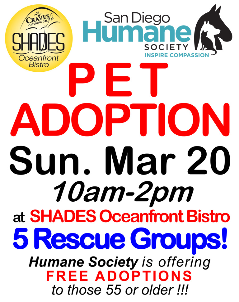 Pet Adoption at Shades