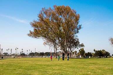 Baseball Fields