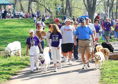 Bark for Life San Diego Dusty Rhodes Park Ocean Beach 