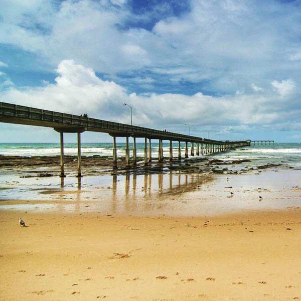 OB Pier Photo by Joe Ewing