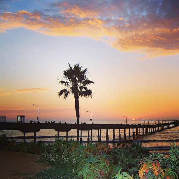 OB Pier Photo by Joe Ewing