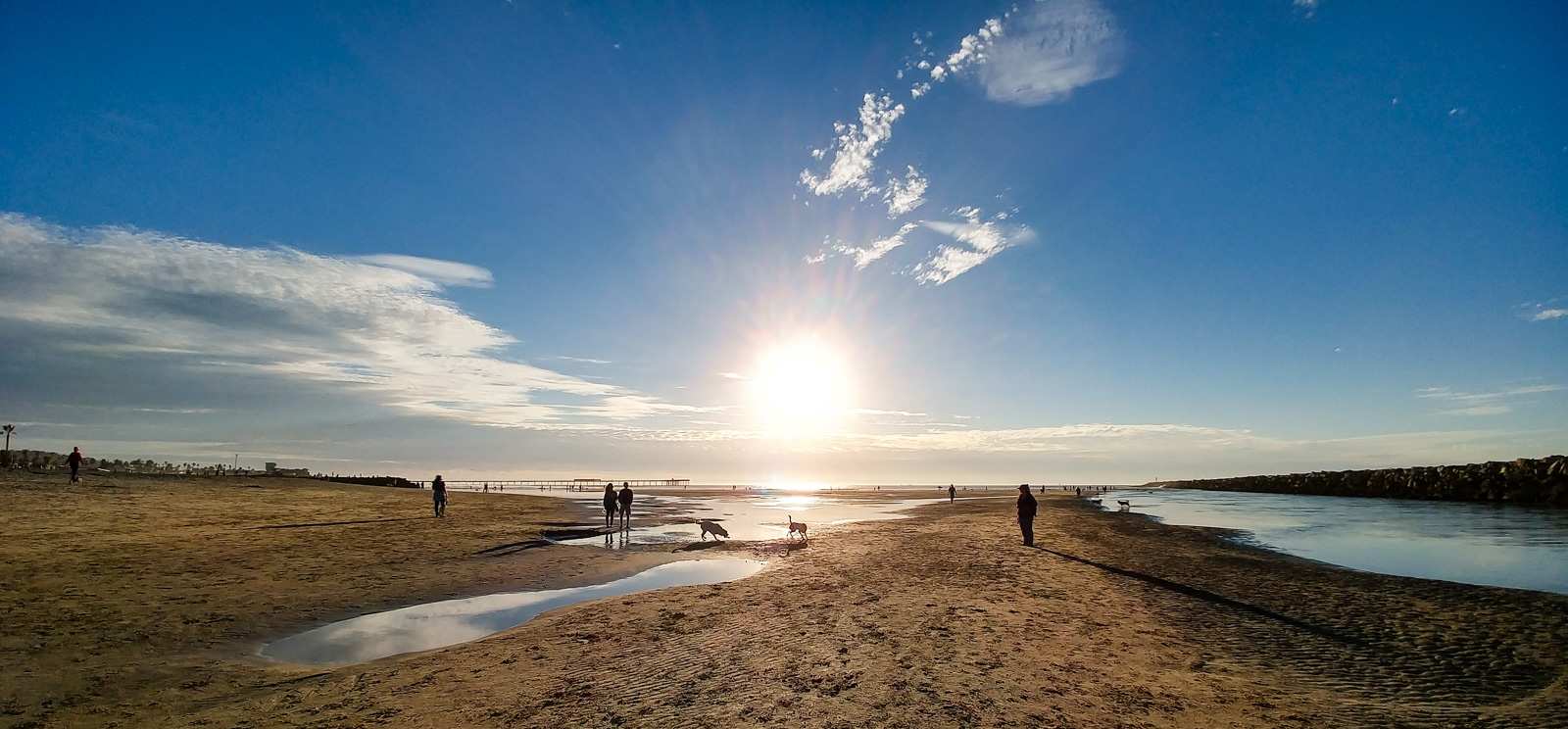 Photo of: Dog Beach