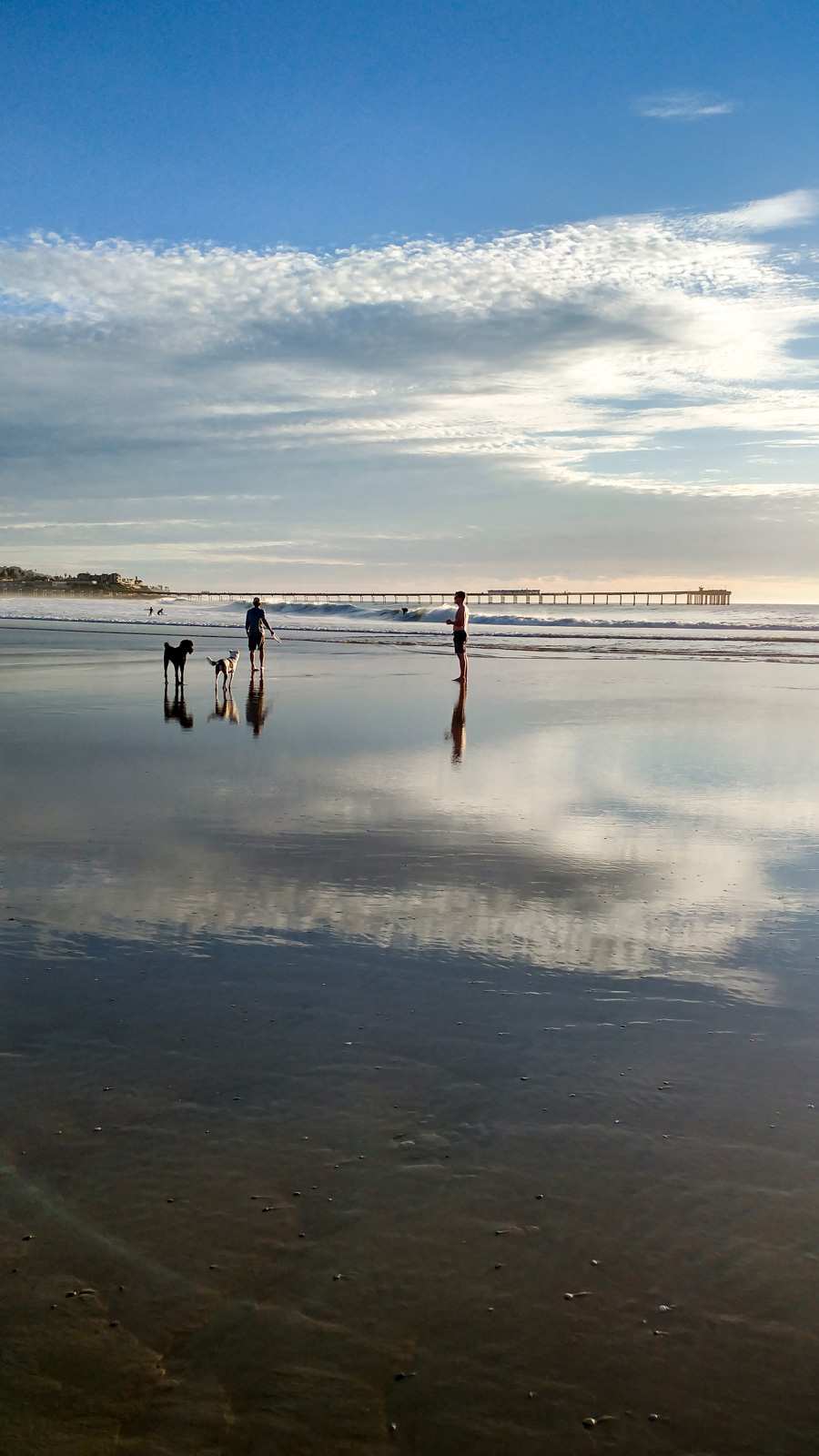 Photo of: Dog Beach