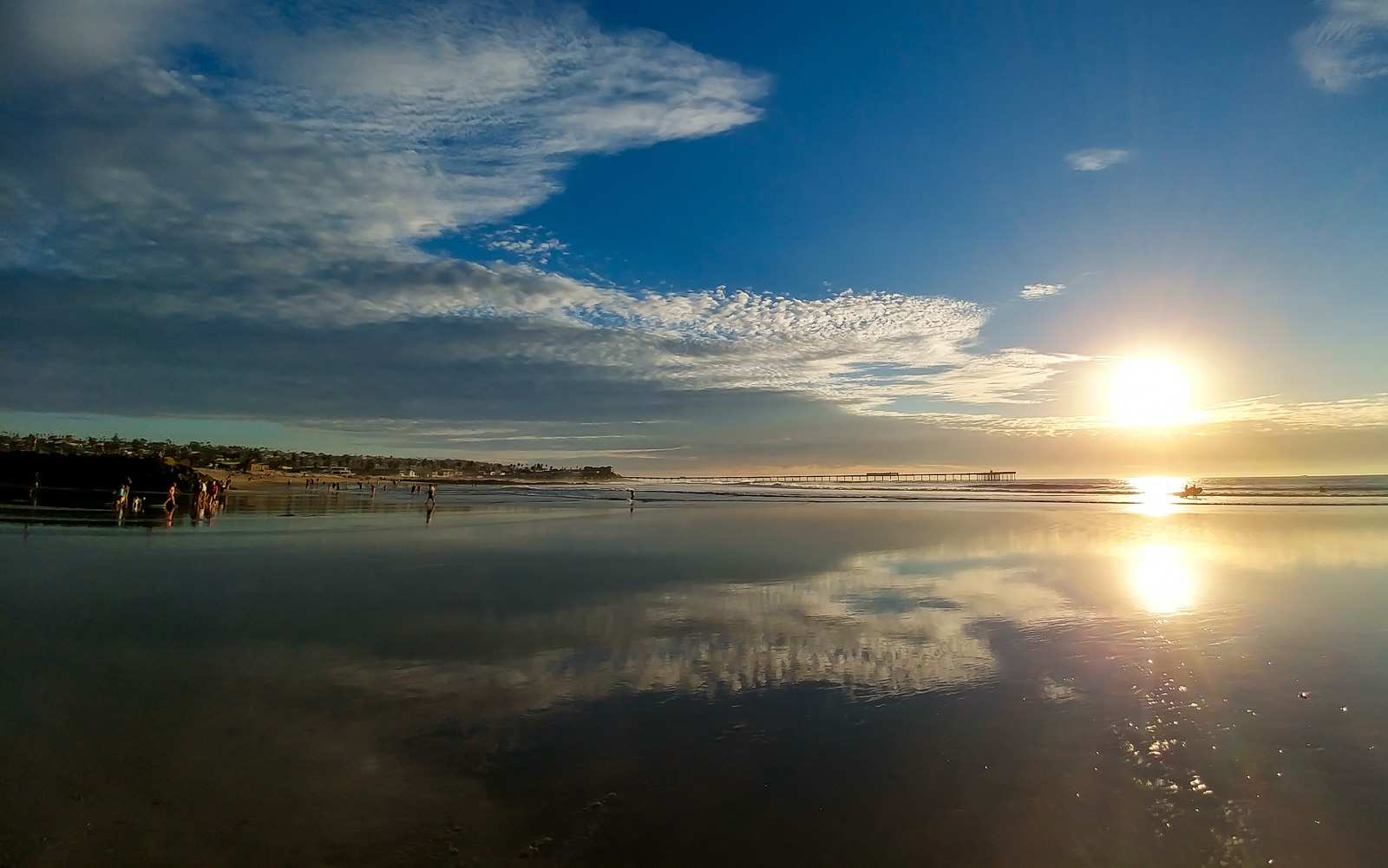 Photo of: Dog Beach