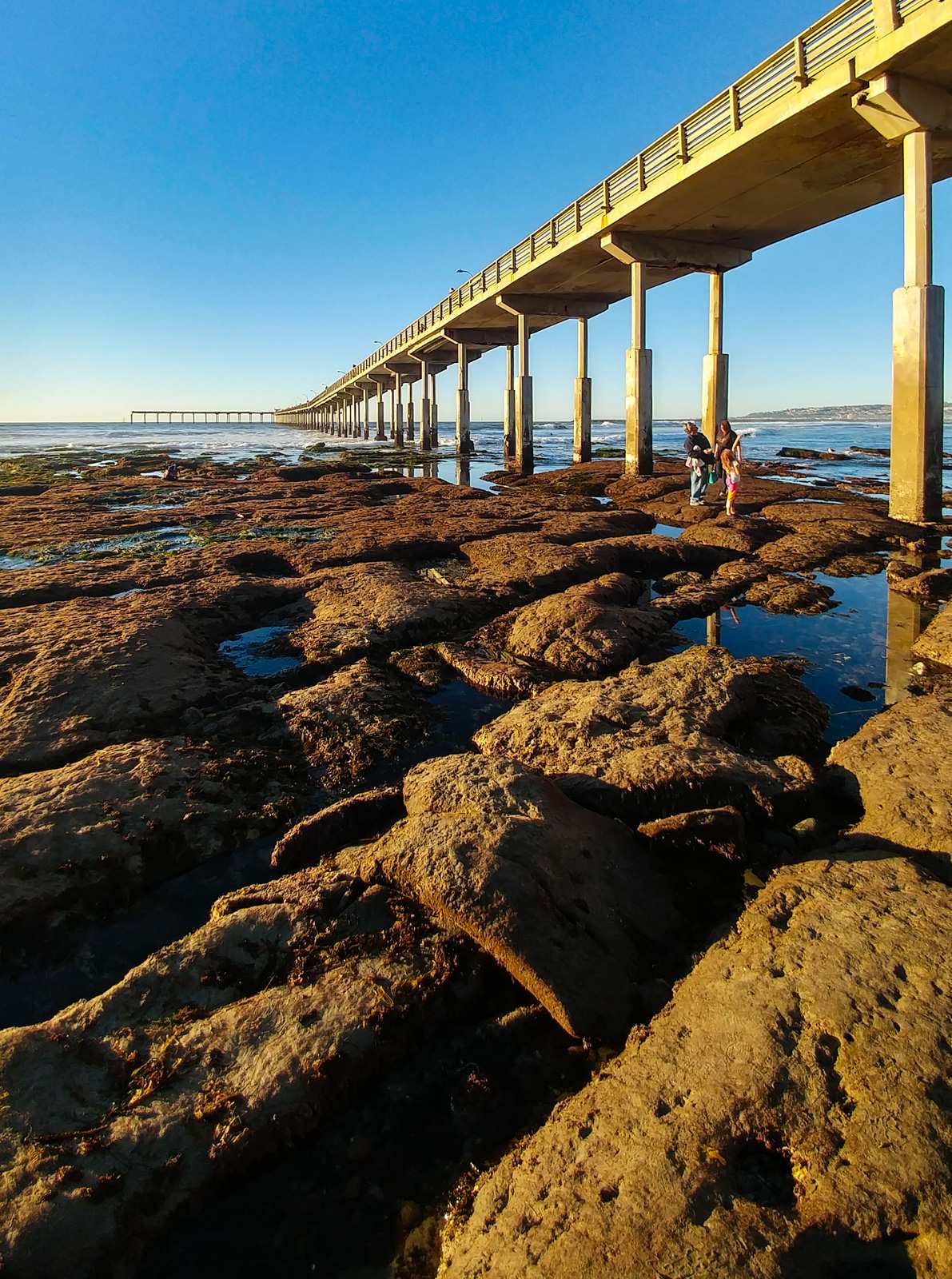 Ocean Beach San Diego Municipal Fishing Pier