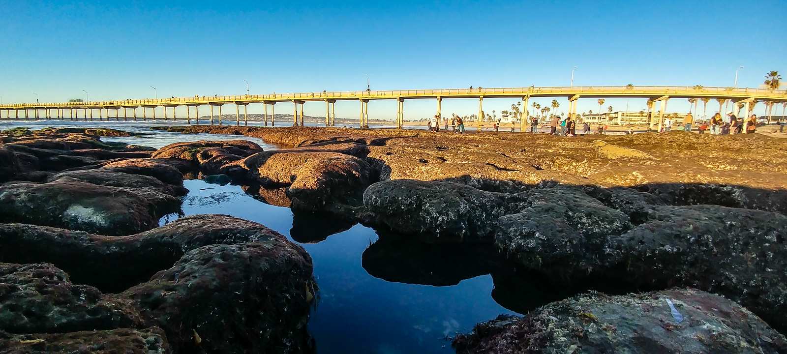 Ocean Beach San Diego Municipal Fishing Pier