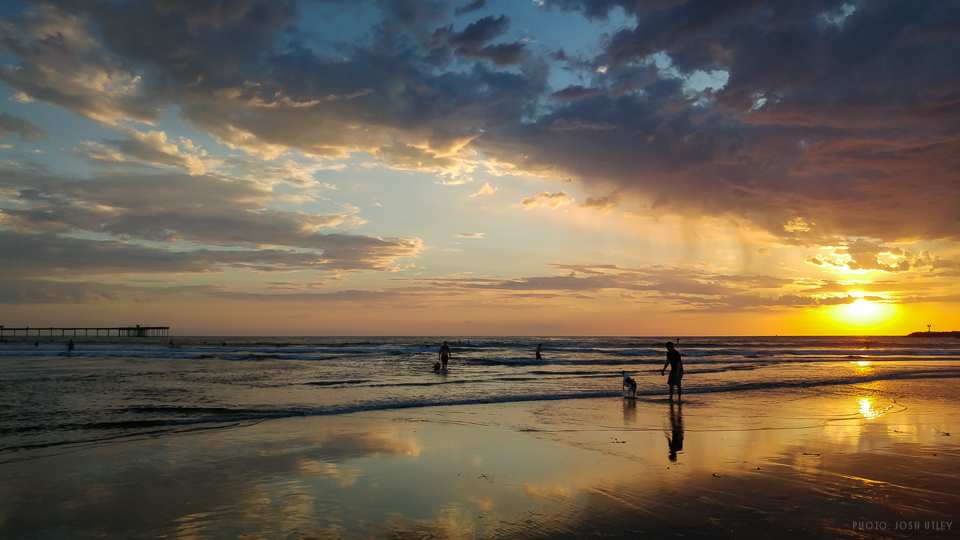 Dog Beach