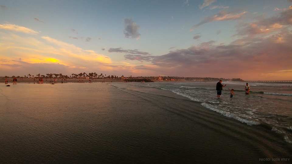 Dog Beach