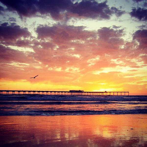 OB Pier Photo by Joe Ewing