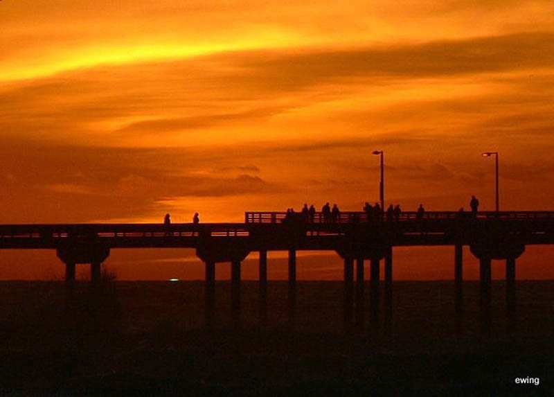 OB Pier Photo by Joe Ewing