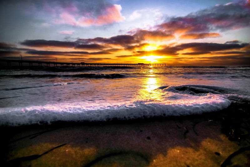 OB Pier Photo by Joe Ewing