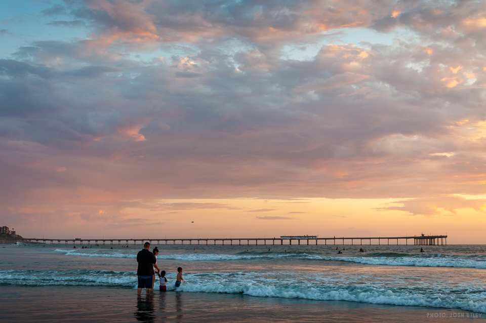 Dog Beach