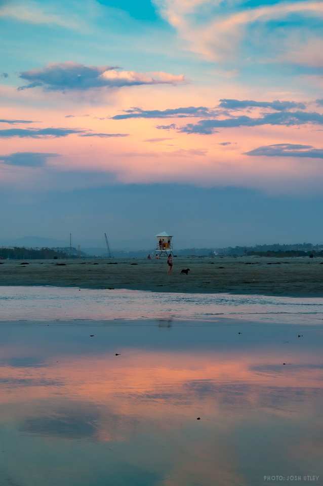 Dog Beach