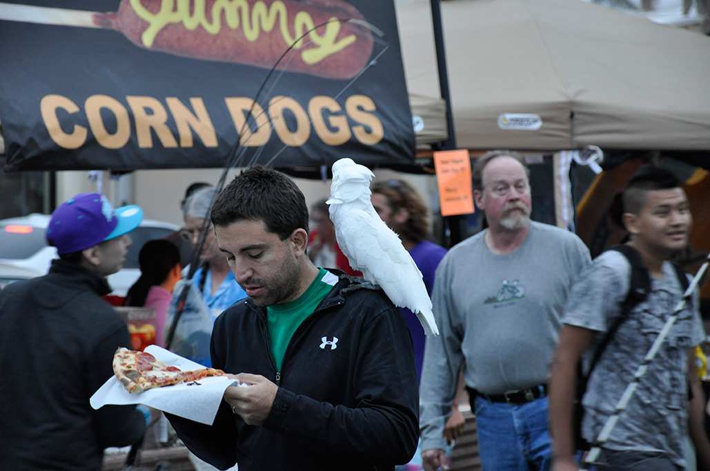 Photo of: OB Beach Ball 2011