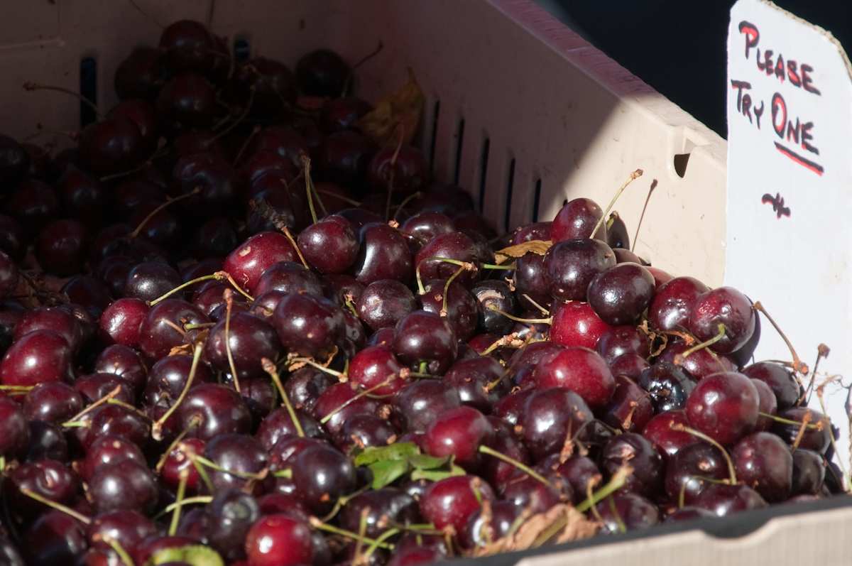 Photo of: Farmers Market 2011