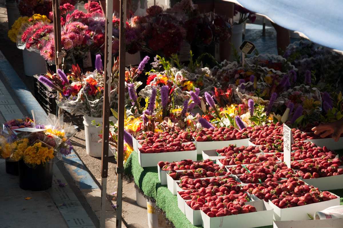 Photo of: Farmers Market 2011