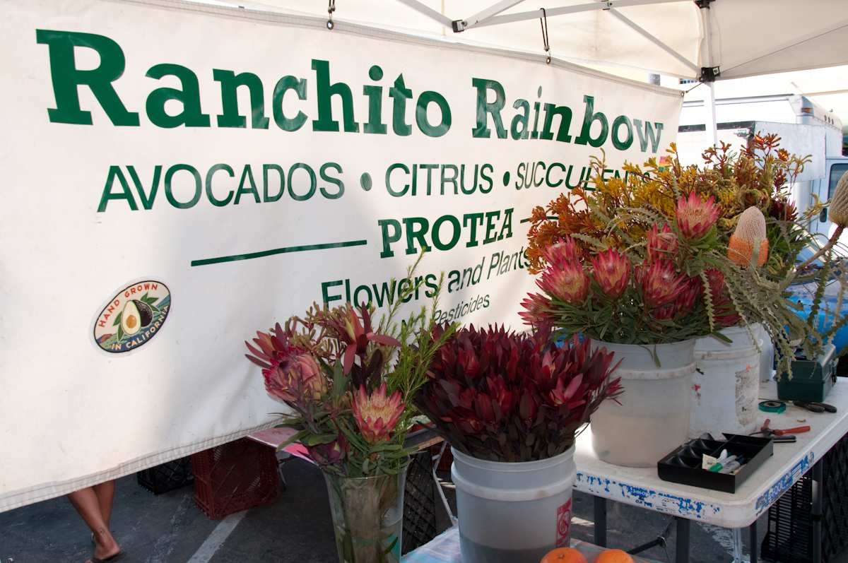 Photo of: Farmers Market 2011