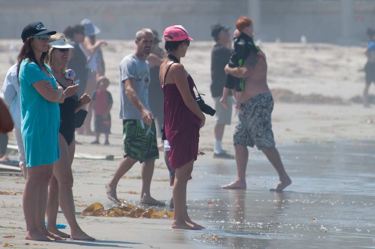 Surfer at Ocean Beach Grom Fest in San Diego California