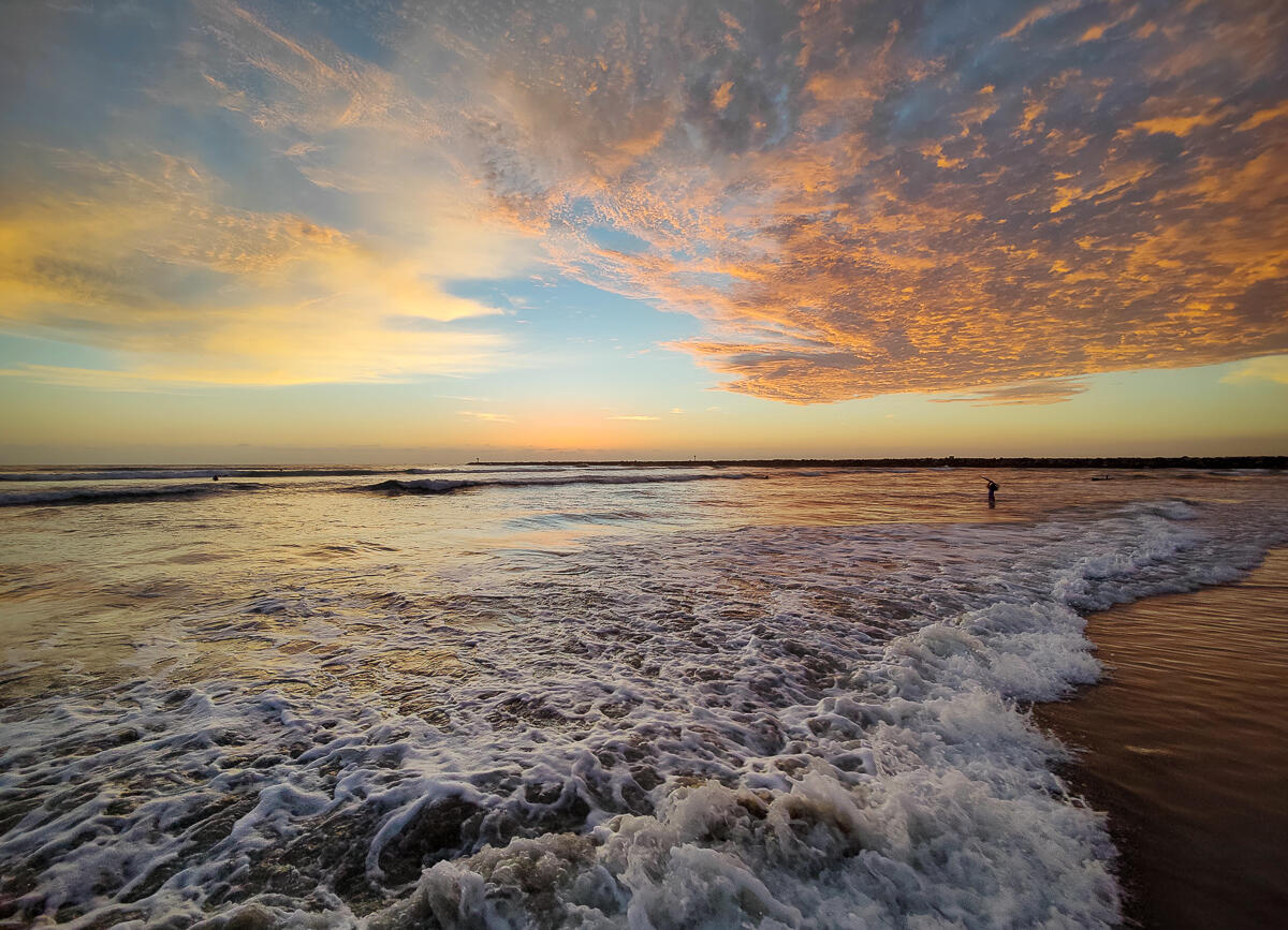 Photo of: Dog Beach Summer Sunsets