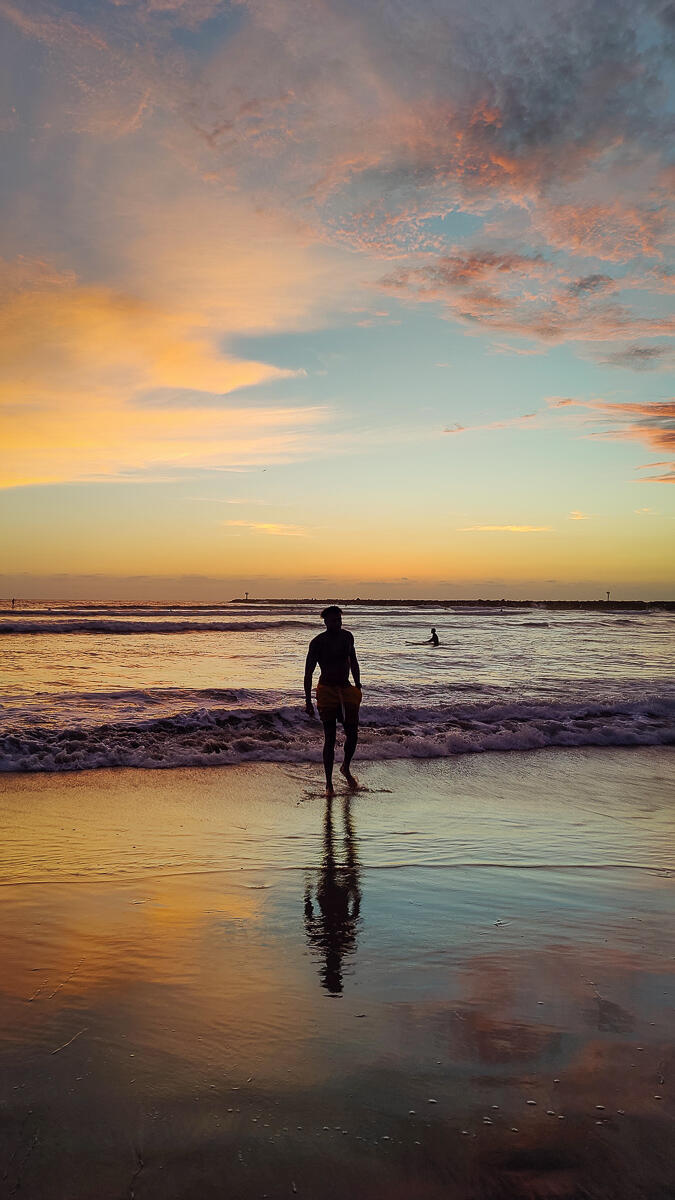 Photo of: Dog Beach Summer Sunsets