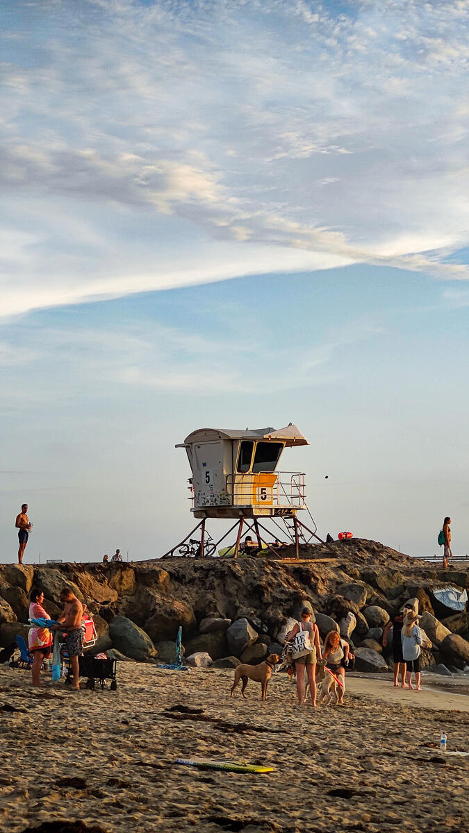 Photo of: Dog Beach Summer Sunsets