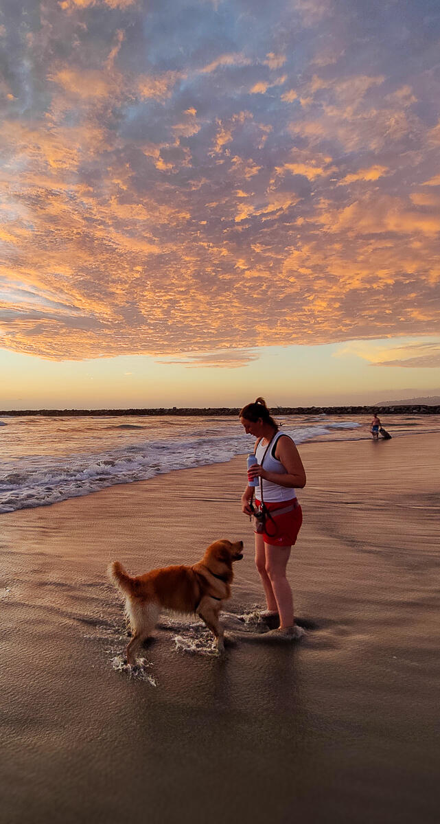 Photo of: Dog Beach Summer Sunsets