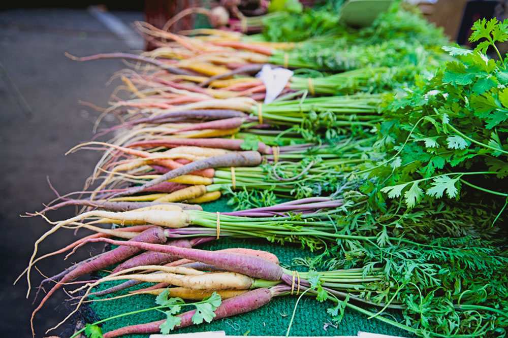 Ocean Beach Farmers Market