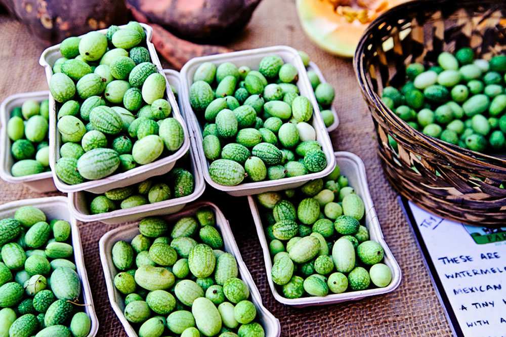 Ocean Beach Farmers Market