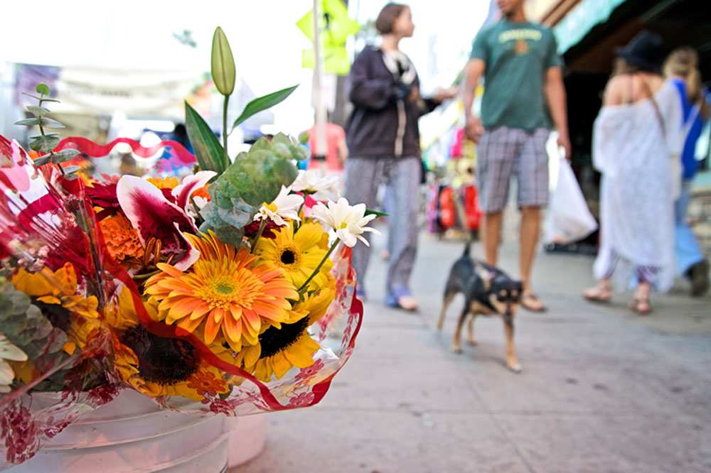 Ocean Beach Farmers Market