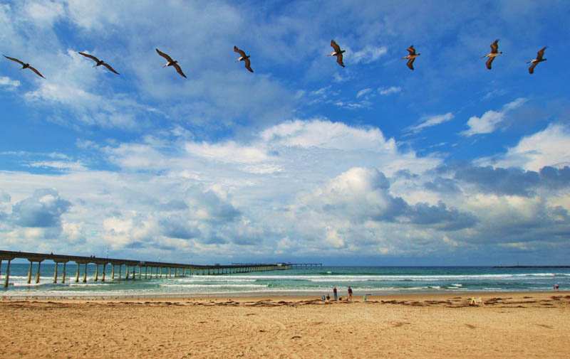 OB Pier Photo by Jim Grant