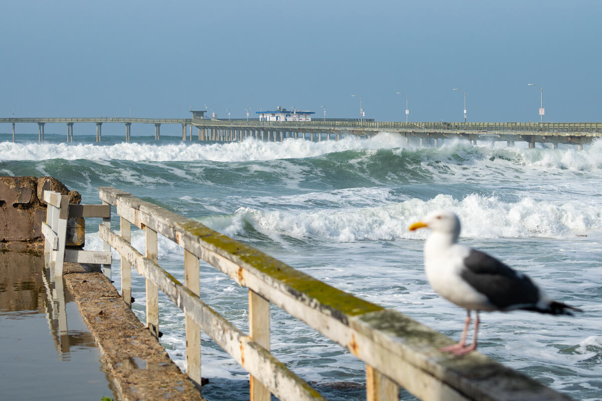 Photo of: Ocean Beach Pier Pylon Fell Off