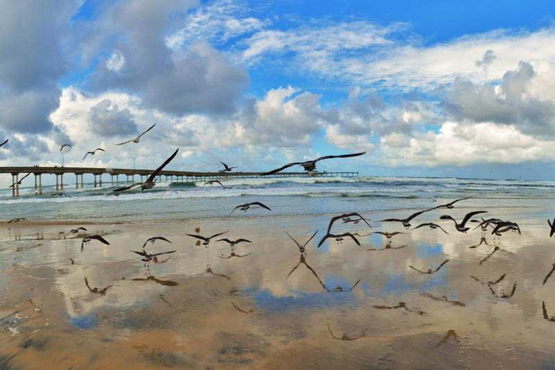 OB Pier Photo by Jim Grant