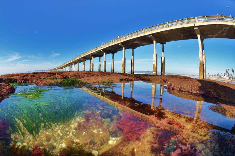 OB Pier Photo by Jim Grant