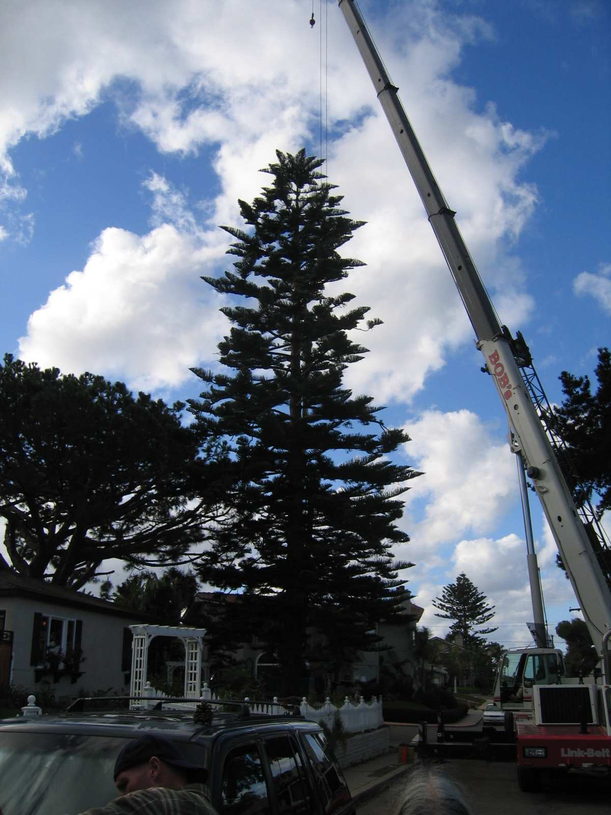 OB Christmas Tree 2006