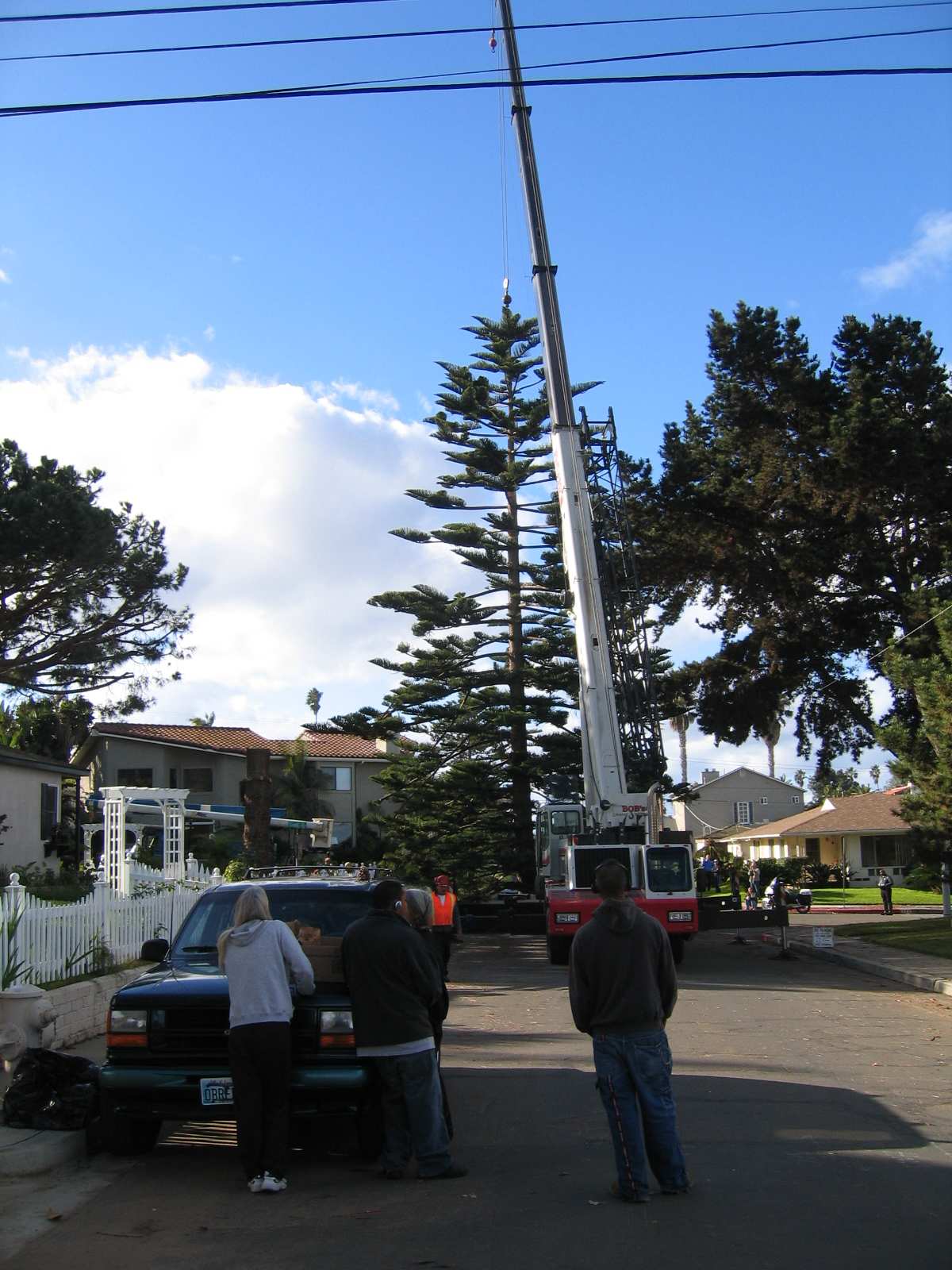 OB Christmas Tree 2006