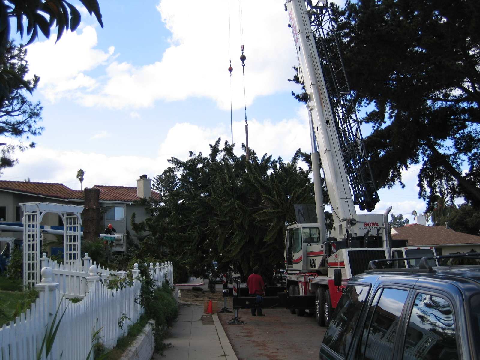 OB Christmas Tree 2006