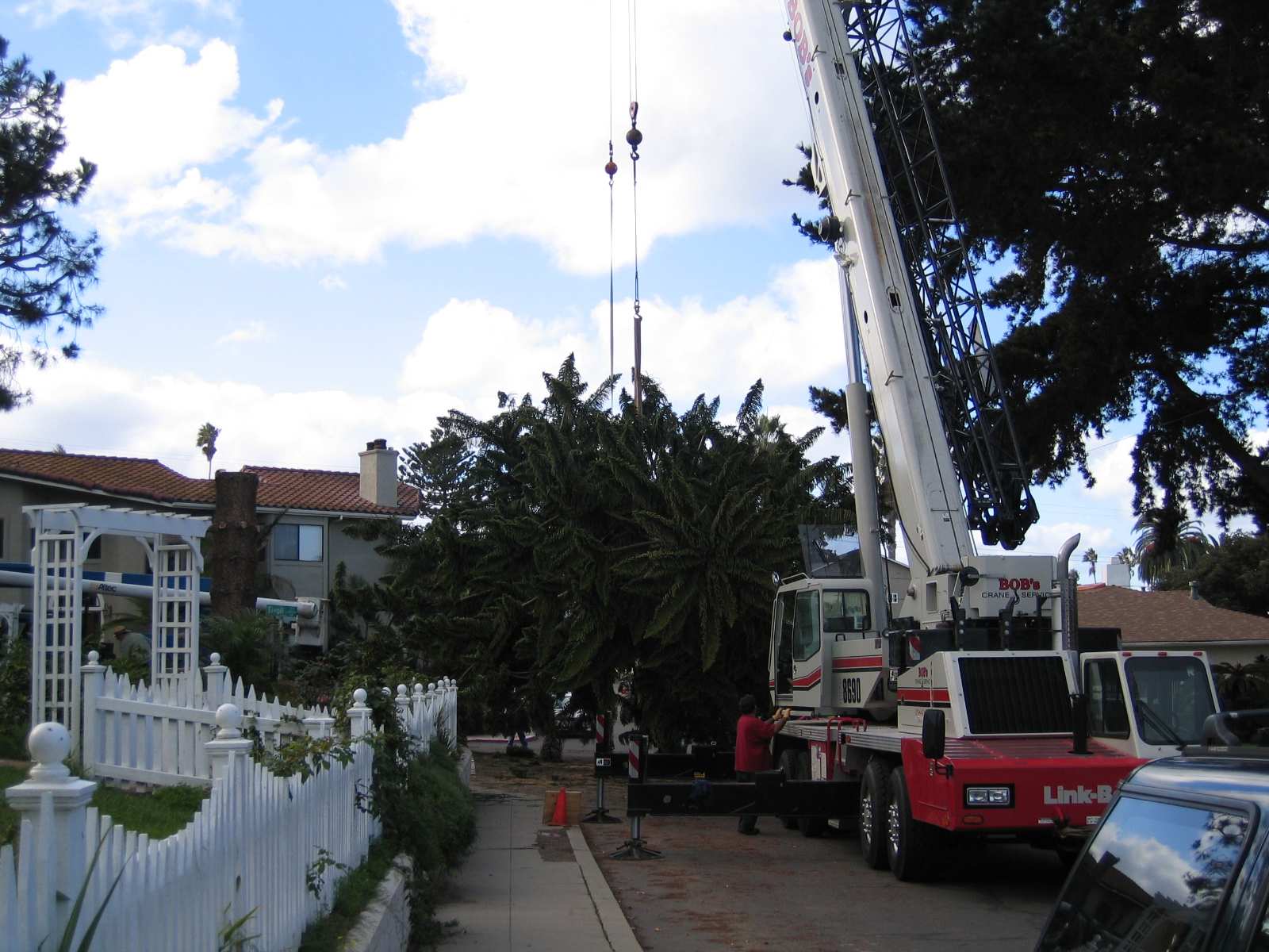 OB Christmas Tree 2006