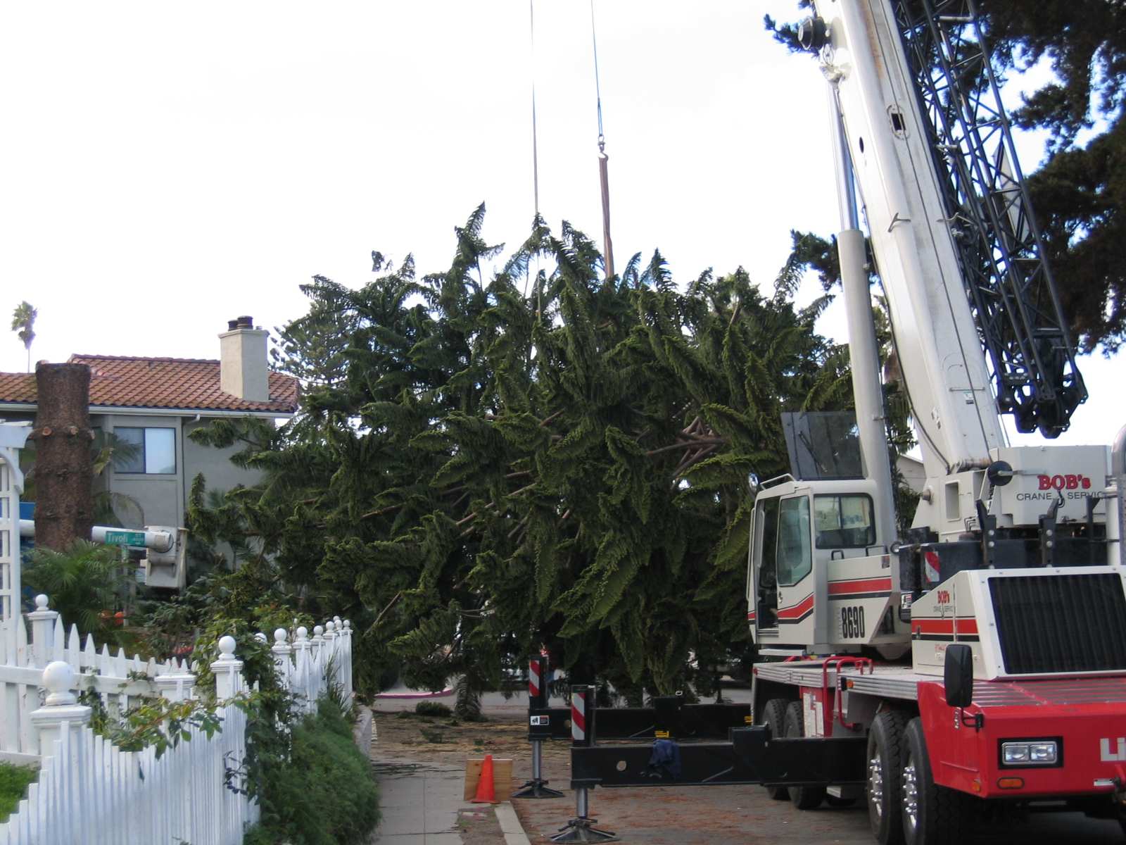 OB Christmas Tree 2006