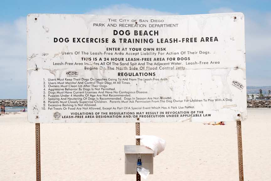 Photo of: Dog Beach