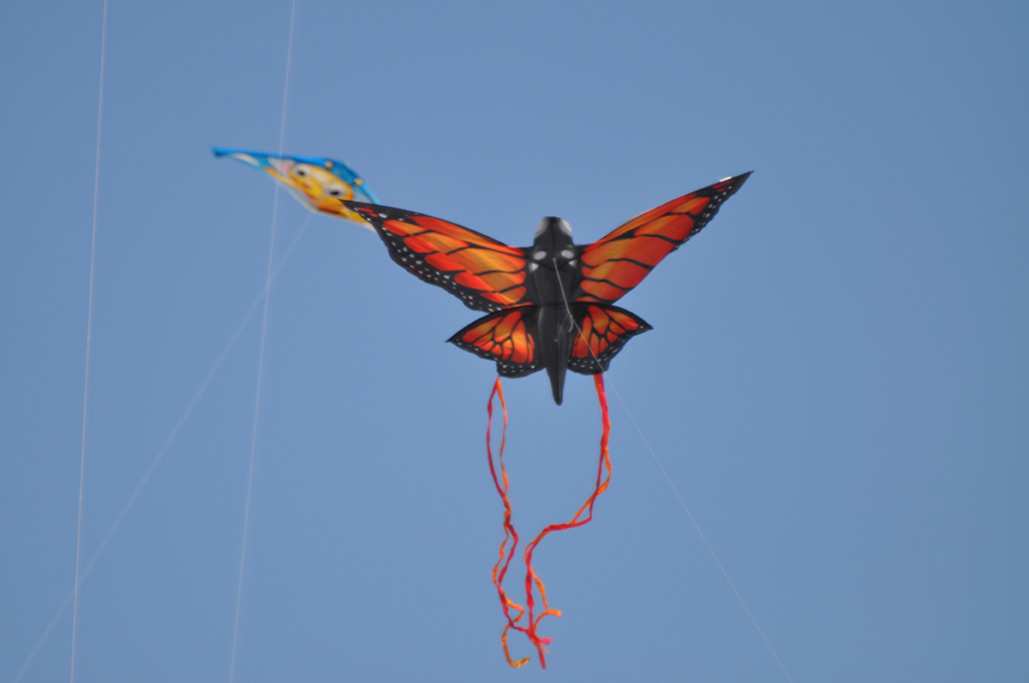 Kiwanis Kite Festival