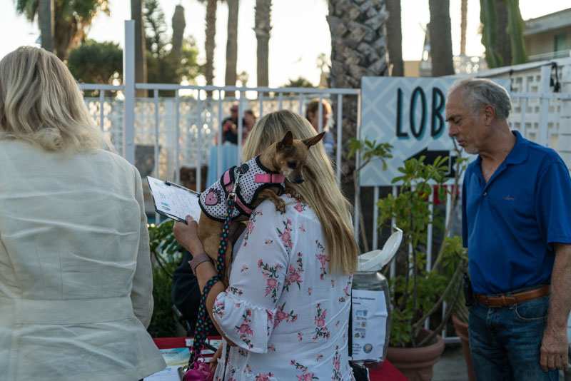 Photo of: OBMA Member Event: September 2017 Sundowner at Ocean Villa Inn with North OB Merchants