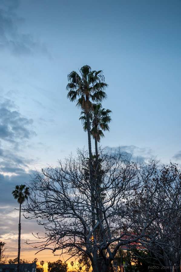 Photo of: North OB Mixer/Fundraiser at Voltaire Beach House