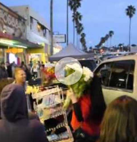 Ocean Beach Farmers Market